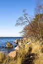 Coastal view of Porkkalanniemi in autumn, dry grass, stones and Gulf of Finland Royalty Free Stock Photo