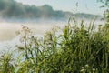 Coastal wild grass, quiet early morning on the lake, dawn. Sunbeams through fog. Concept of seasons, environment