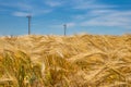 Coastal wind farm in the middle of a wheat field, Botievo, Ukraine Royalty Free Stock Photo