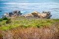 Coastine of California from Cabrillo Highway Royalty Free Stock Photo