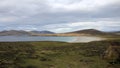 Coastline, beach at Saunders Island, Falkland Islands