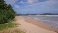 Coastline, beach, sea, green plants, waves in the ocean.