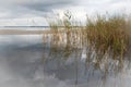 Coastline at Boltenhagen, Baltic Sea, Germany