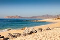 Coastline of Cabo San Lucas Royalty Free Stock Photo
