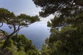 Coastline of Capri island, Capri, Italy Royalty Free Stock Photo