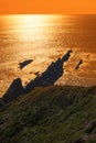 Coastline and cliffs sunset in kerry Royalty Free Stock Photo