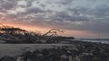 The coastline with a dramatic colorful sunset on driftwood beach, Jekyll Island, Georgia Royalty Free Stock Photo