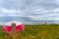 a coastline at the East Sea in Denmark with asmall red boat Royalty Free Stock Photo