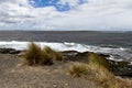 Coastline Falkland Islands