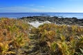 Coastline of Beg Meil in France