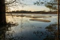 The coastline of a forest lake with dry grass and pine trees without snow. The last ice floes are floating in the lake. The lake Royalty Free Stock Photo