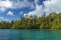 Coastline on Gam Island, covered with life, Raja Ampat