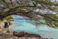 Aruba - Mangle Halto Lagoon
