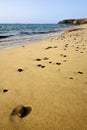 Coastline lanzarote in spain musk yacht boat summer