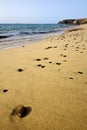 coastline lanzarote in spain musk yacht boat summer