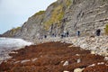 The coastline of Monmouth Beach with the cliffs of Liassic rocks at Chippel Bay. West Dorset. England