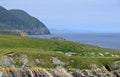 Coastline near Ferryland view towards Witless Bay Royalty Free Stock Photo