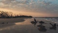 The coastline with an orange sunset and ocean on driftwood beach, Jekyll Island, Georgia Royalty Free Stock Photo