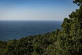 The coastline overgrown with bright greens of old junipers. Blue sea goes into the blue cloudless sky. Selective focus. Royalty Free Stock Photo
