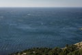 The coastline overgrown with bright greens of old junipers. Royalty Free Stock Photo