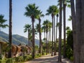 Coastline promenade with palm trees in Marmaris town, Turkey. walking path with palm trees along the seashore Royalty Free Stock Photo