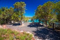 Coastline promenade with pine trees and tourquise clear water at Porto Cervo, Costa Smeralda, Sardinia, Italy Royalty Free Stock Photo