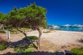 Coastline promenade with pine trees and tourquise clear water at Porto Cervo, Costa Smeralda, Sardinia, Italy