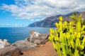 Coastline in Puerto de Santiago. Tenerife, Spain