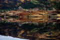 Coastline reflecting in a pond in a forest