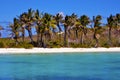 Coastline rock in the blue lagoon relax isla contoy mexico Royalty Free Stock Photo