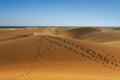 Coastline with sand dunes