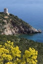 Coastline of Sardinia - Italy