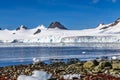 Coastline with stones and cold still waters of antarctic sea lag Royalty Free Stock Photo