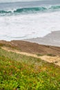 Coastline with stones, plants and surfs in cloudy day Royalty Free Stock Photo