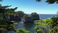 Coastline to the south at cape flattery framed by trees in olympic np Royalty Free Stock Photo