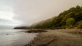 Coastline with trees along the Cabo Froward Trek in Chile`s Patagonia area. Royalty Free Stock Photo