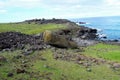 Coasts around Easter Island Royalty Free Stock Photo