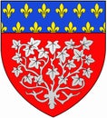 Coat of arms of the city of Amiens. France