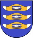 Coat of arms of the city of HyvinkÃÂ¤ÃÂ¤. Finland
