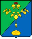 Coat of arms of the city of Partizansk. Primorsky Krai.
