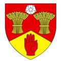 Coat of arms of county Londonderry. Northern Ireland