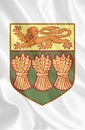 Coat of arms of the provinces of Canada. In high quality.