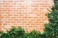 Coat button on the brick wall garden decoration Royalty Free Stock Photo