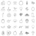 Coat icons set, outline style