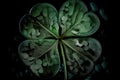 coating of round four-leaf green clover on dark background
