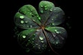 coating of round four-leaf green clover on dark background