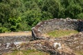 CoaÃÂ±a hillfort, an Iron Age settlement in Asturias Royalty Free Stock Photo