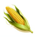 Cob of corn. Corn as a dish of thanksgiving for the harvest, picture on a white isolated background