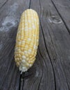 A cob of corn Royalty Free Stock Photo