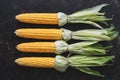 Cob of fresh corn on dark background. The view from the top,flat lay. Royalty Free Stock Photo